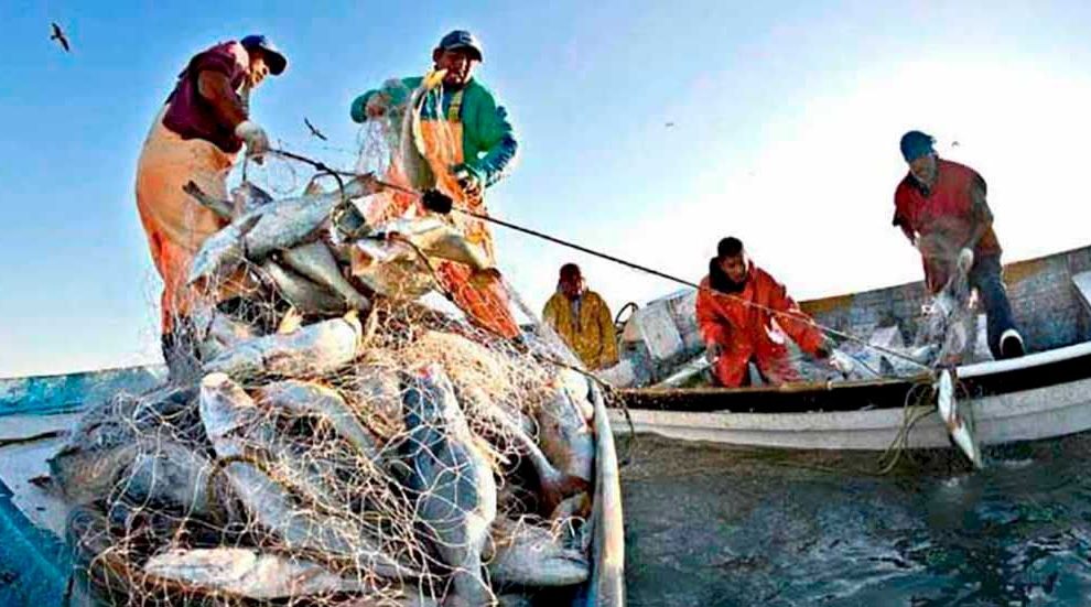 Ley que reconoce la pesca tradicional ancestral y la pesca