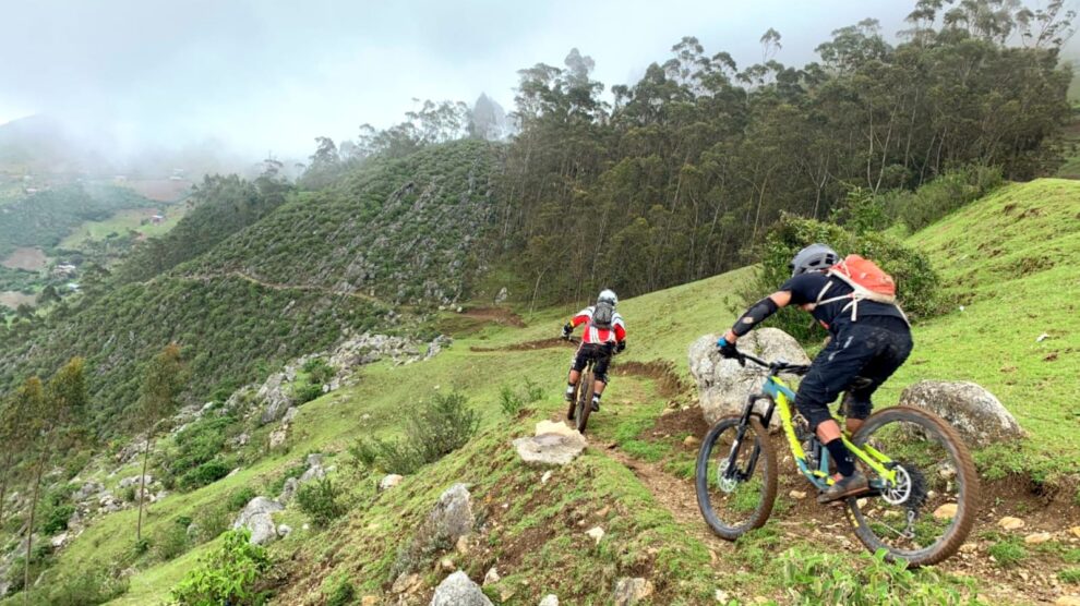 Bicicleta de montaña